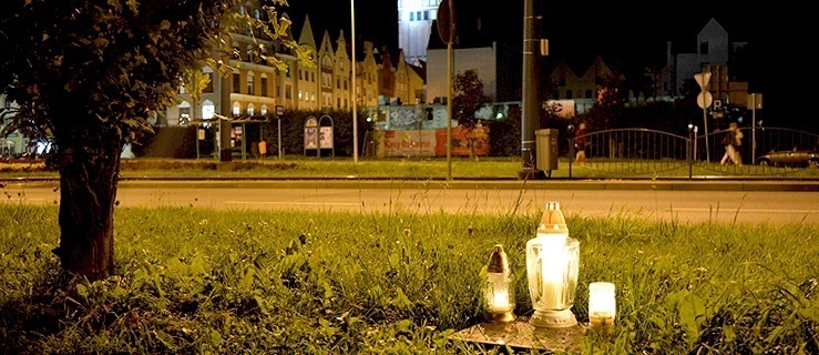 Dąb Tolerancji, Elbląg; fot. Marcin Mongiałło