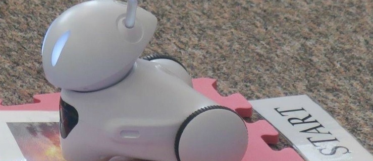 Elbląg. Roboty i kodowanie w każdej szkole za 4,5 miliona złotych