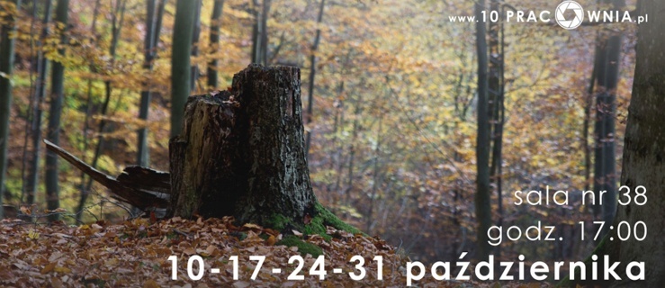 W miesiąc poznasz podstawy fotografii
