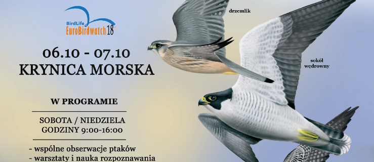 Będą obserwowali jesienne migracje ptaków 
