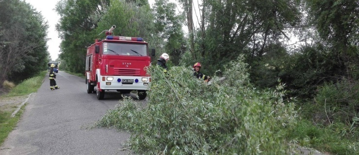 Elbląg i okolice. Dwa zniszczone samochody, uszkodzona linia telefoniczna. Wiatr w porywach do 80 km na godz. 
