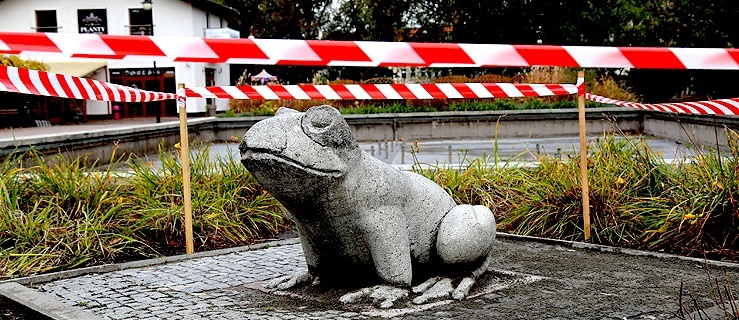 Elbląska „żabka