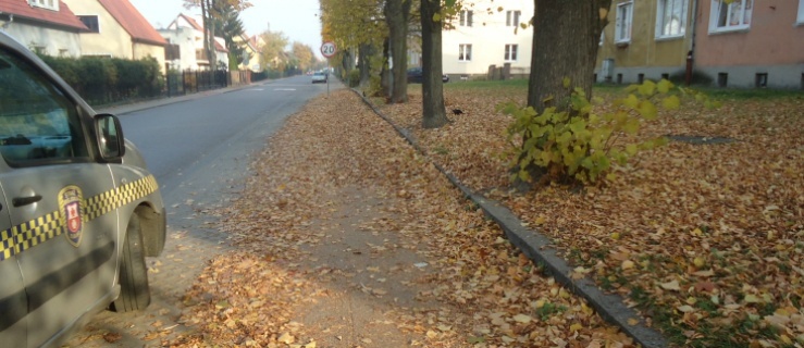Elbląg. Nie sprzątniesz liści z chodnika dostaniesz mandat 