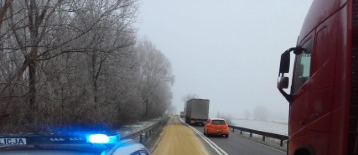 Elbląg: Zboże na jezdni. Utrudnienia na drodze nr 22 (+ zdjęcia)