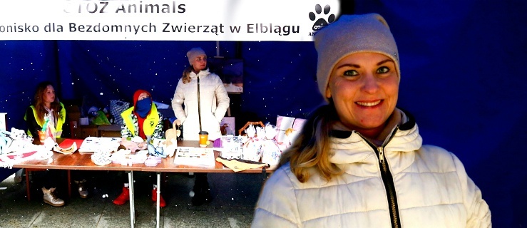 5 567,64 zł na koncie elbląskiego schroniska!