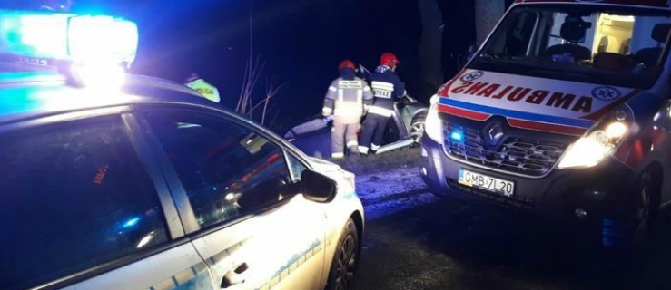 Śmierć na drodze do Nowego Stawu
