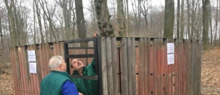 Elbląg. Uwaga, odłownia dzików!