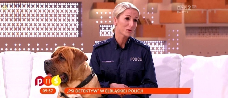 Elbląg. Piękniejsza twarz policji 