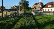 Serial Walka o Kolej Nadzalewową trwa