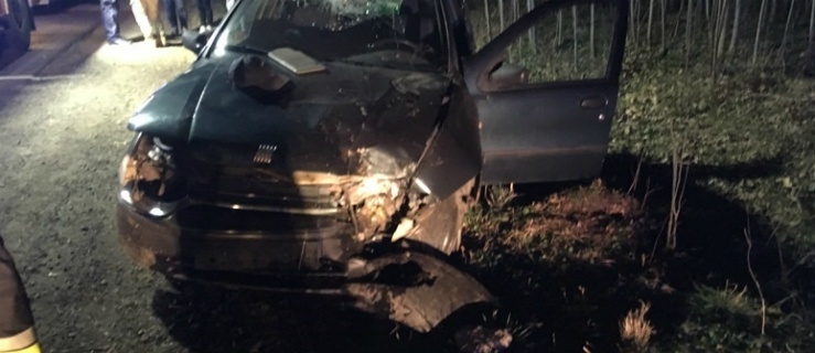 Gmina Braniewo. Auto czołowo uderzyło w drzewo. Dziecko w szpitalu 