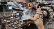 Elbląg. Psy szukały narkotyków i materiałów wybuchowych