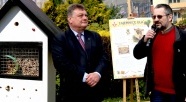 W Elblągu stanął kolejny domek dla murarek (+ zdjęcia)