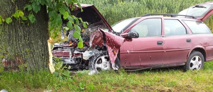 Nowy Dwór Elbląski. Samochód uderzył w drzewo 