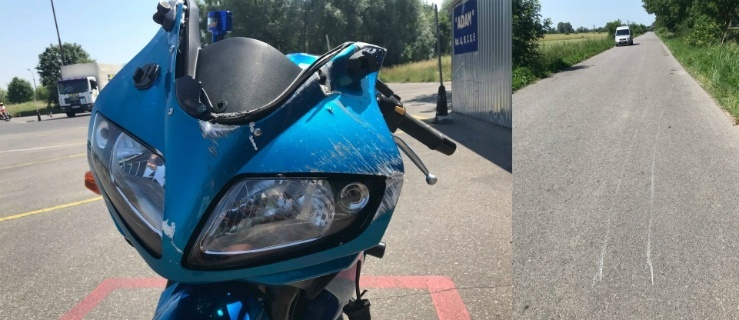 Dzik nie przeżył, motocyklistka z Elbląga leczy uraz nogi