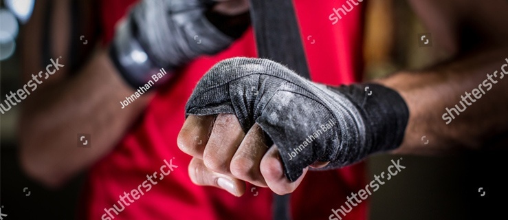 Gwiazdy na ringu, czyli Fame MMA