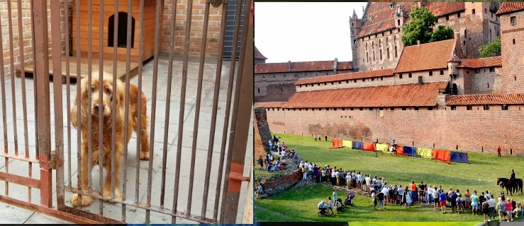 W malborskim zamku jest przechowalnia zwierząt 