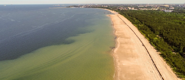 Jutro (21.08) rozpoczną poszerzanie plaż od Sztutowa do Stegny 