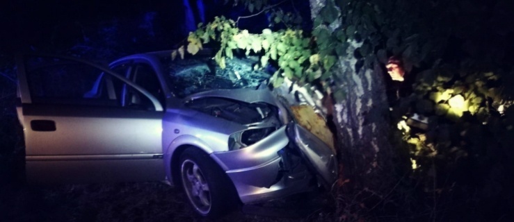 Wypadek na trasie Elbląg-Tolkmicko. Dwie osoby w szpitalu