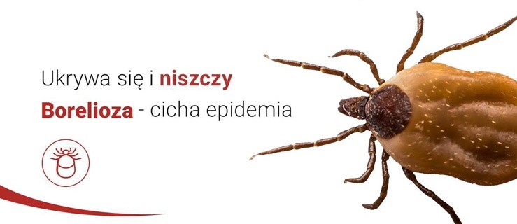 Konferencja dotycząca boreliozy w Elblągu