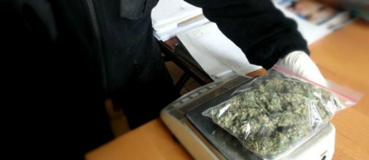 Elbląg. W okolicach szkoły zatrzymani za posiadanie narkotyków
