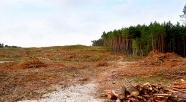 KIO oddaliła trzy odwołania. Wybór oferty na przekop zgodny z prawem. Wkrótce podpisanie umowy