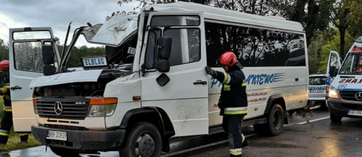 W Hucie Żuławskiej (pow. elbląski) drzewo spadło na busa. Trzy osoby poszkodowane