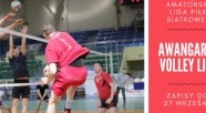 Zapisy do lig: siatkówki i koszykówki