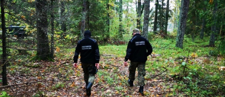Grzybiarze błądzą, a służby mundurowe ich szukają