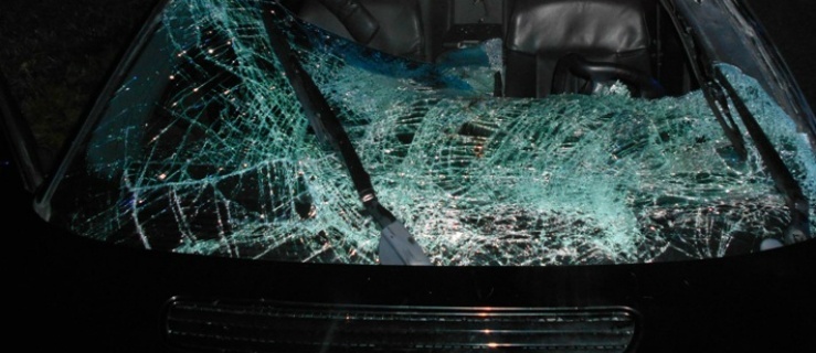 Auto zderzyło się z łosiem. Kierowca w szpitalu 