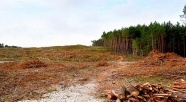 Dziś (18.10) przekazanie placu budowy przekopu (+wideo)