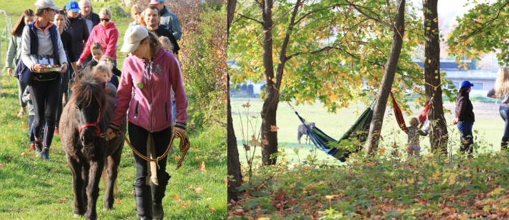 Elbląg. Koński Park dla Wszystkich 