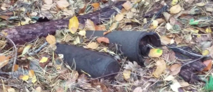 Znaleziono niewybuchy na Mierzei Wiślanej 