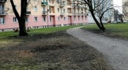 Elbląg. Będzie jasno na Placu Wolności. Jest wykonawca