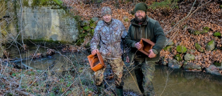 Wysoczyna Elbląska. Budki dla górskich ptaków