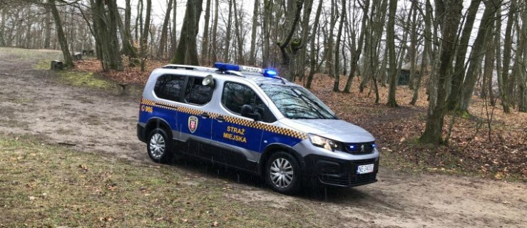 Nie wszyscy elblążanie przestrzegają zakazu gromadzenia się 