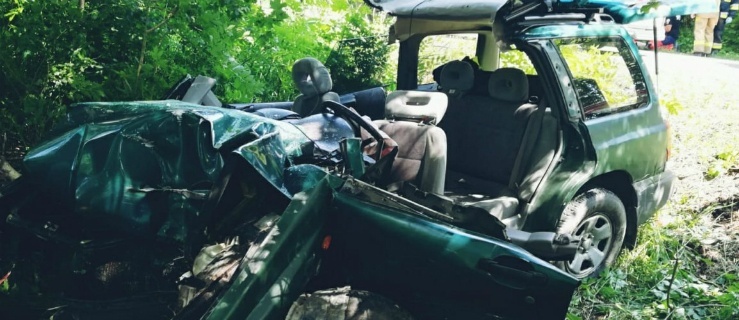 Tragiczne zderzenie z łosiem, pijany kierowca „rekordzista” i skasowane auto