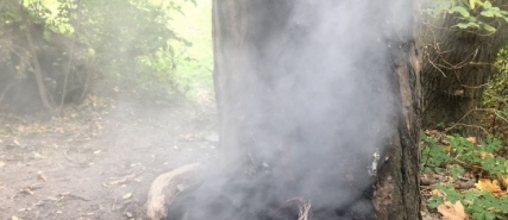 Elbląg. Nielegalnie spalał odpady w Parku Modrzewie