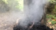 Elbląg. Nielegalnie spalał odpady w Parku Modrzewie