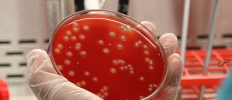 Koronawirus. Raport z 8 listopada 