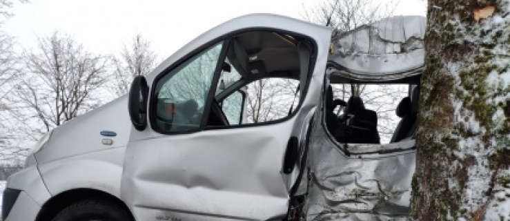 Kierowca Renault Trafic  uderzył w drzewo 