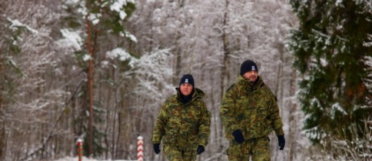 Ciekawość ukarana mandatem 