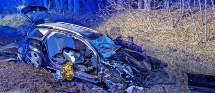 20-letni pasażer zginął na miejscu. Trzy osoby w szpitalu