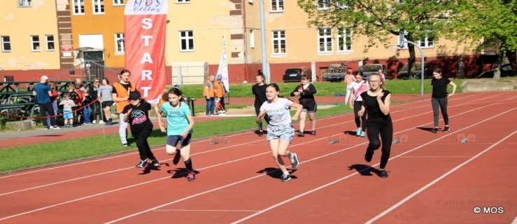Rodzinny piknik sportowy w Elblągu