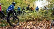 Wyprawa na rowerach z leśnikiem