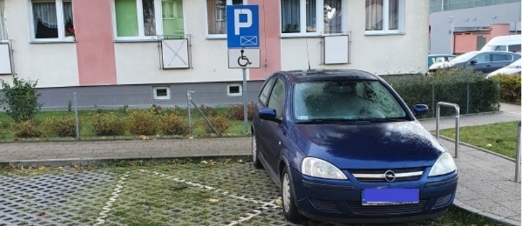Jak funkcjonują 