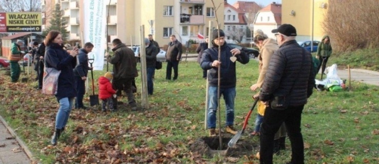 Jeden nowo narodzony elblążanin, będzie też nowe drzewko
