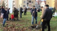 Jeden nowo narodzony elblążanin, będzie też nowe drzewko
