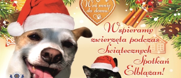 Wspierajmy czworonogi podczas Świątecznych Spotkań