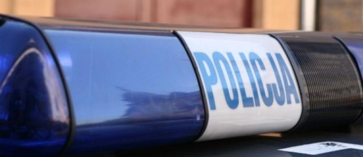 Ukradli gołębie w Elblągu. Policja szuka sprawców