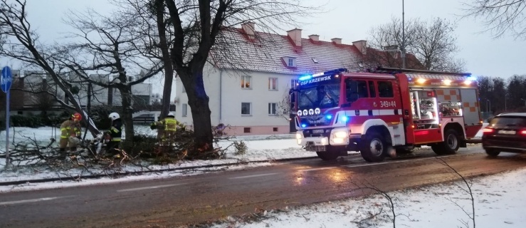 Silnie wiało. W Elblągu interweniowali strażacy z OSP